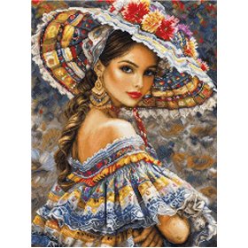 Embroidery kit The Mexican Fest Embroidery kit The Mexican Fest