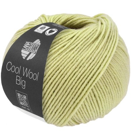 Cool Wool Big birch green 1029