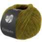 Ecopuno 220 olijf