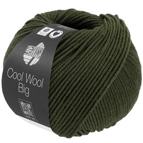 Cool Wool Big Mélange Lodengrün meliert 1695