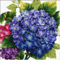 Stickset Hortensie