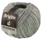 Brigitte Silkdream 15 Grijs Brigitte Silkdream 15 Grijs
