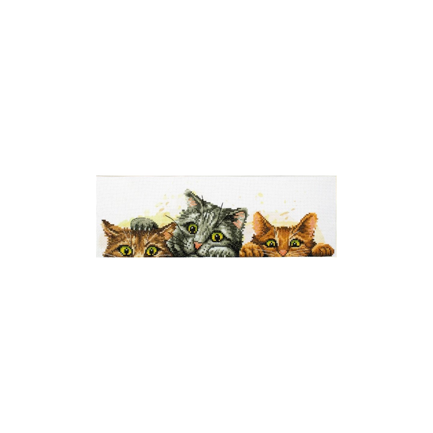 Kit de broderie Chatons curieux