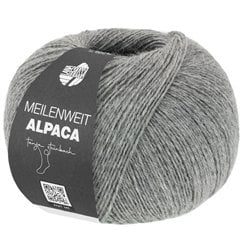 Lana Grossa Meilenweit 100 Alpaca 2014 Grijs
