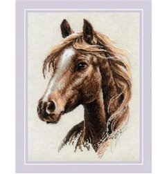 Embroidery kit Proud Spirit Embroidery kit Proud Spirit