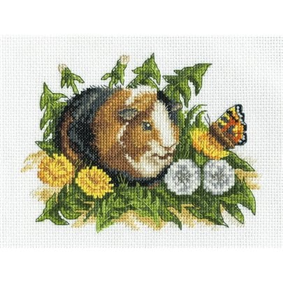 Kit de broderie Cobaye