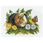 Borduurpakket Cavia