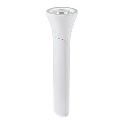 2-in-1 Flip Lamp & Torch