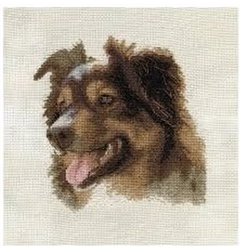 Embroidery kit English Shepherd