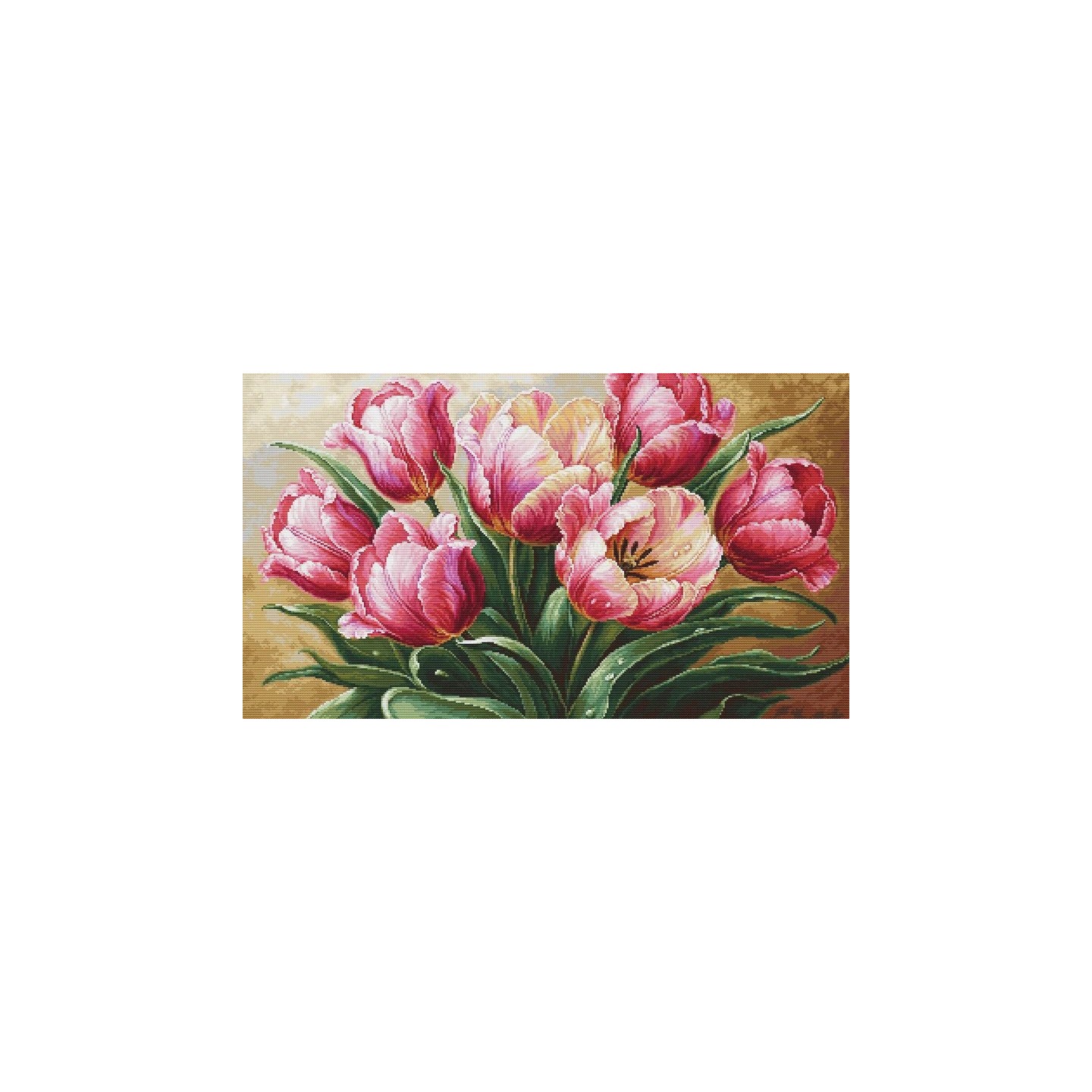 Luca-S Stickset Anmutige Tulpen