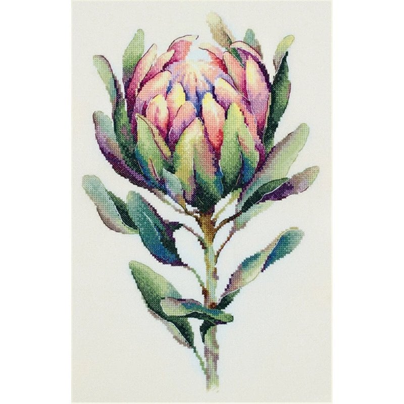 Kit e broderie Protea Kit e broderie Protea