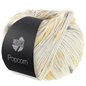 Popcorn 10 Silbergrau