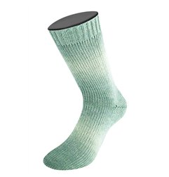Lana Grossa Meilenweit 100 Woolycell Duo 6007