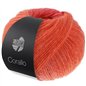 Corallo 02 Raspberry