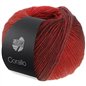 Corallo 05 Red