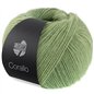 Corallo 09 Gray