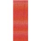 Corallo 02 Raspberry