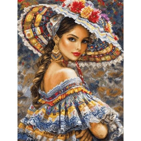 Borduurpakket Het Mexicaanse Festival (petit point)