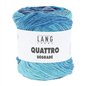 Quattro Dégradé 011