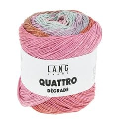Quattro Dégradé 015