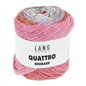 Quattro Dégradé 015