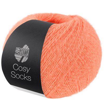 Cosy Socks 21