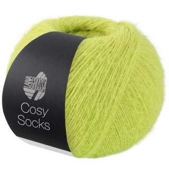 Cosy Socks 24