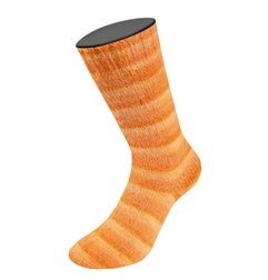Cosy Socks Soft Stripes 112