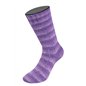 Cosy Socks Soft Stripes 114