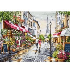 Borduurpakket Bloemenwinkel in Parijs