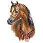 Embroidery kit Arabian Horse Embroidery kit Arabian Horse