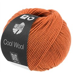 Cool Wool Brun orangé 2116