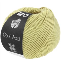 Cool Wool Pastelgroen 2122