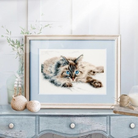 Kit de broderie Bonheur tout doux