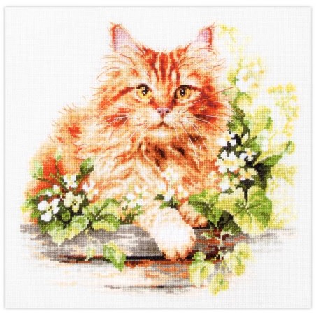 Borduurpakket De rode kat