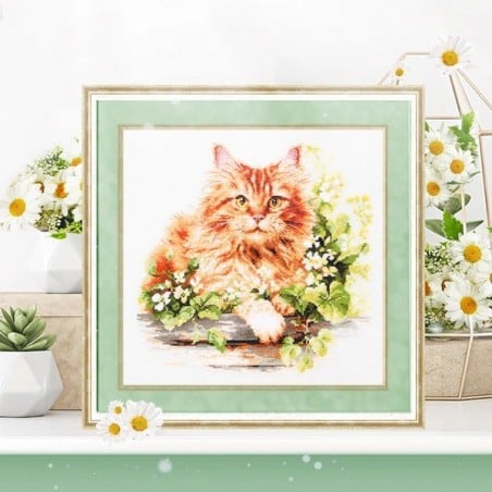Kit de broderie Le chat roux