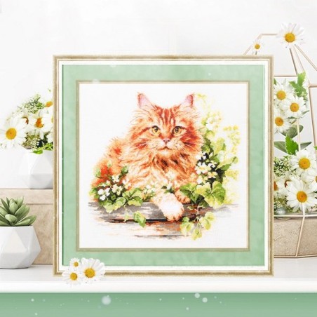 Stickset Die rote Katze