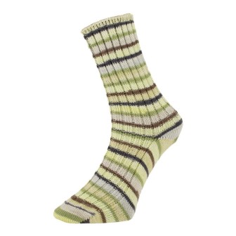  Prolana Pro Lana Golden Socks Schönau 184.06