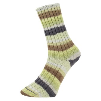 Sokkenwol Pro Lana Golden Socks Tannheim 5 190.06
