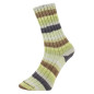Pro Lana Golden Socks Tannheim 5 190.06