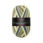 Pro Lana Golden Socks Tannheim 5 190.06