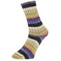 Pro Lana Golden Socks Tannheim 5 190.07