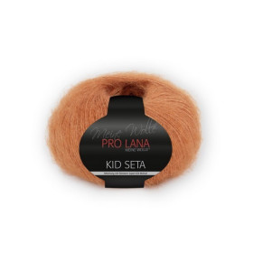  Prolana Pro Lana Kid Seta 25