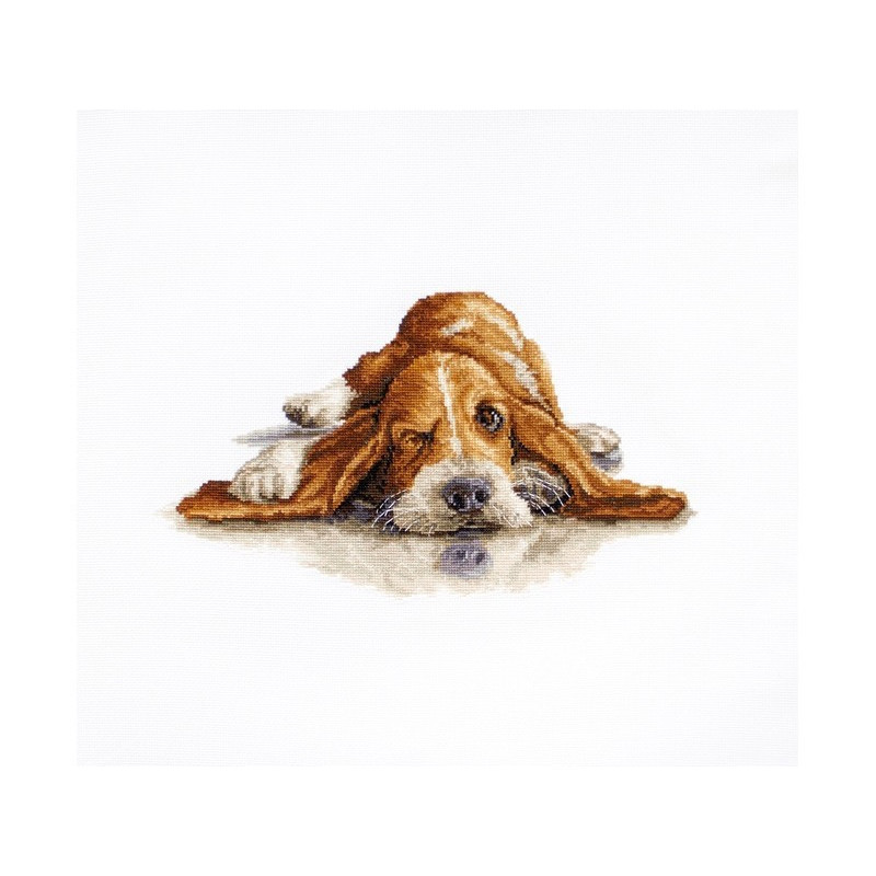 Stickset Basset 2 Stickset Basset 2