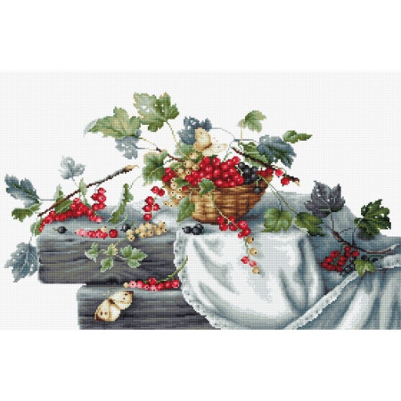 Luca-S Kit de broderie Groseilles rouges