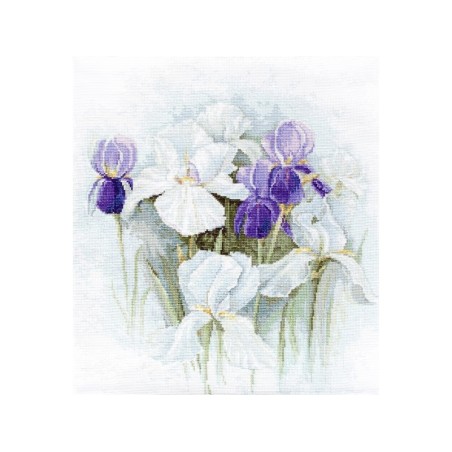 Kit de broderie Iris