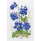 Stickset Aquilegia