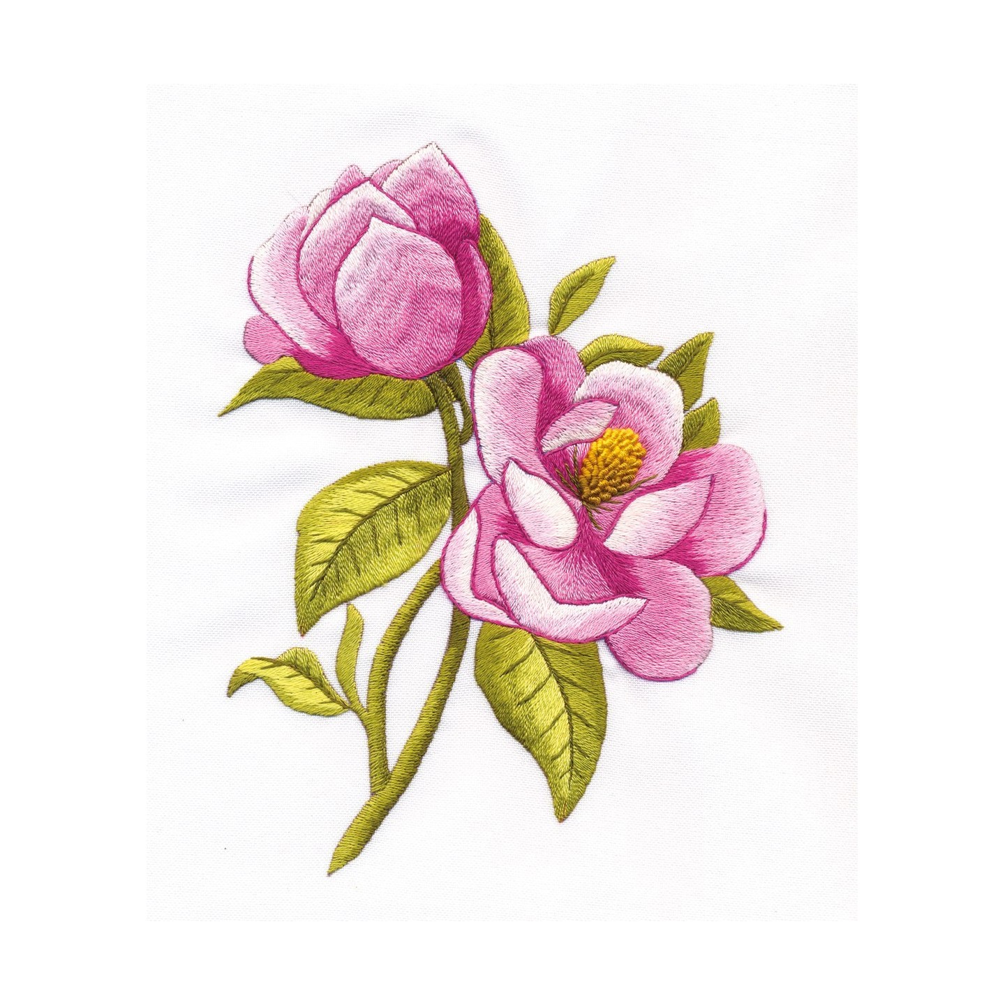 Panna Magnolia