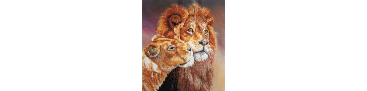 Stickpackungen & Kreuzstich-Sets | Verelana Online-Shop