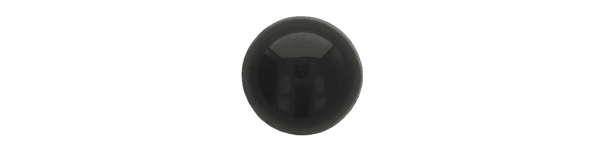 Animal eyes black